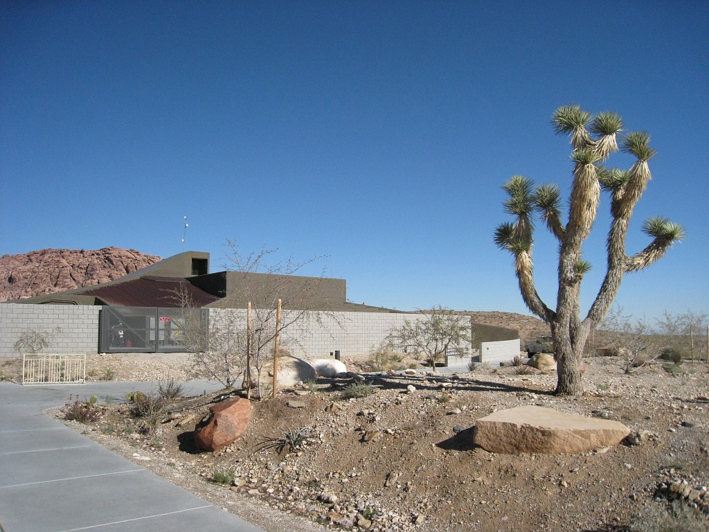 Las Vegas 2010 - Red Rock 0041.JPG - The 2010 Las Vegas Fire - Ice and Sweat Tour. Half Marathon, Red Rock Canyon, Casinos, Valley of Fire.... and buffets!